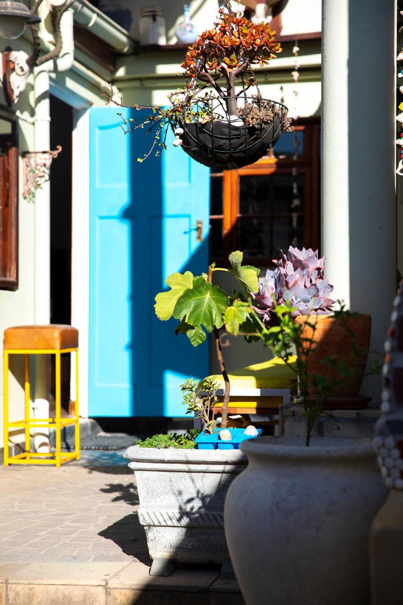 Ami Vine House Ξενοδοχείο Κέιπ Τάουν Εξωτερικό φωτογραφία