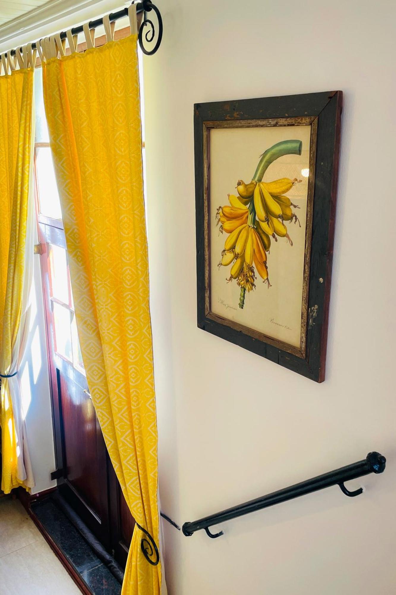 Ami Vine House Ξενοδοχείο Κέιπ Τάουν Εξωτερικό φωτογραφία