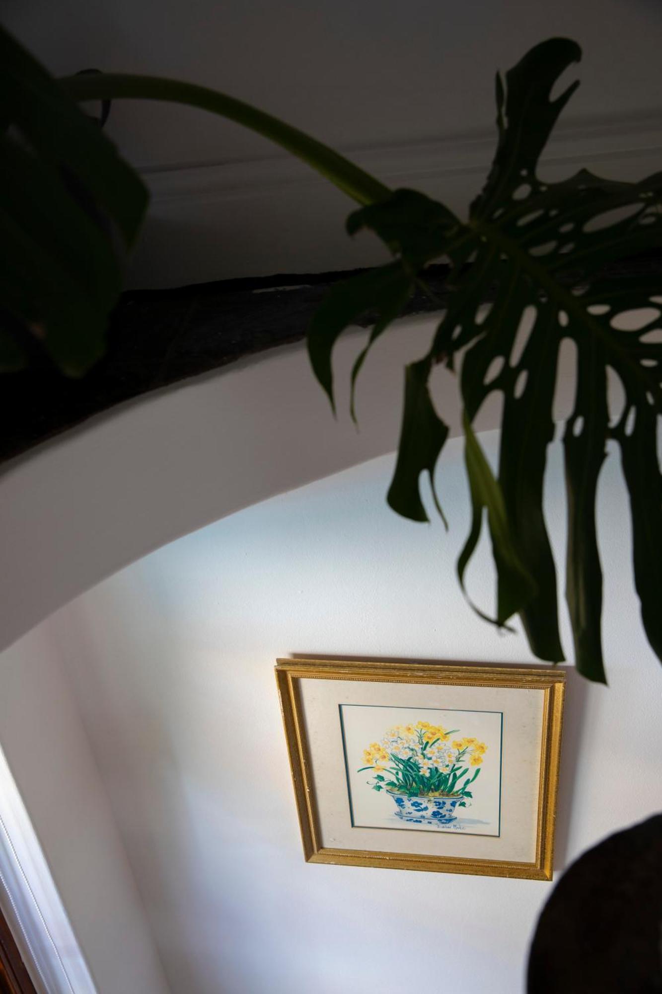 Ami Vine House Ξενοδοχείο Κέιπ Τάουν Εξωτερικό φωτογραφία