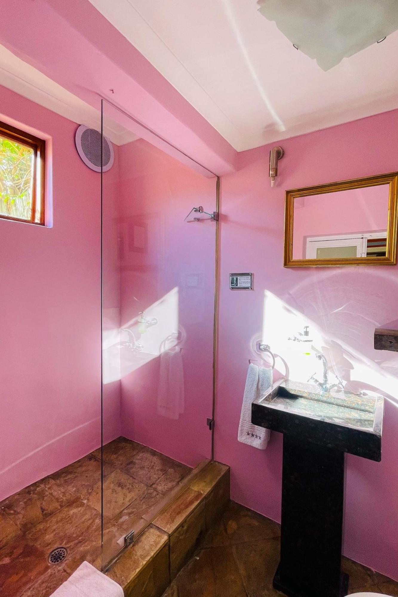 Ami Vine House Ξενοδοχείο Κέιπ Τάουν Εξωτερικό φωτογραφία