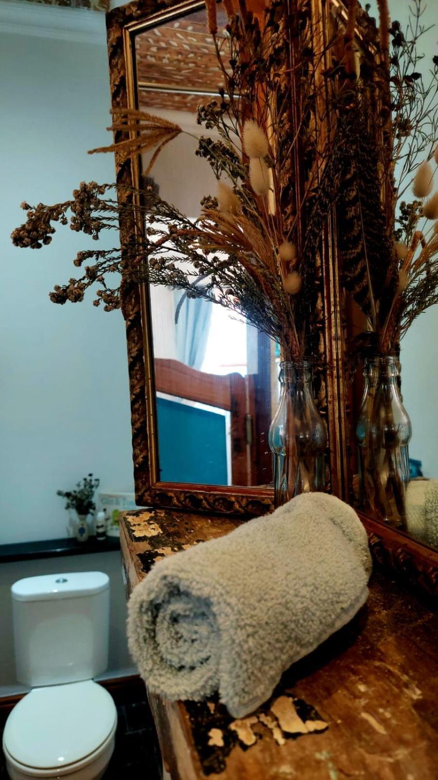 Ami Vine House Ξενοδοχείο Κέιπ Τάουν Εξωτερικό φωτογραφία